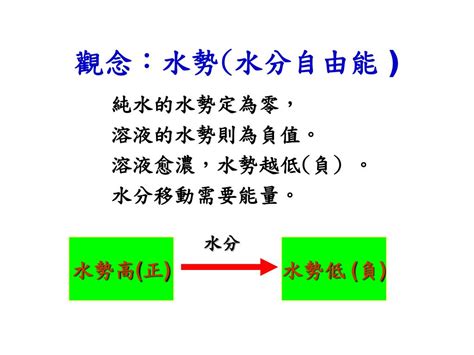 水勢能|沿海與內陸植物水勢能及莖彈性係數的關係